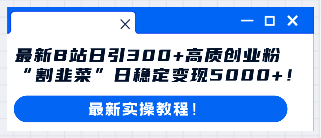 （8216期）最新B站日引300 高质创业粉教程！“割韭菜”日稳定变现5000 ！