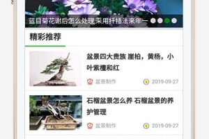 响应式花卉养殖新闻资讯网站模板 绿色花草植物网站源码下载(带手机版数据同步)