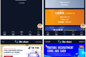 十二种语言点赞抖音脸书tiktok分享点赞任务系统源码