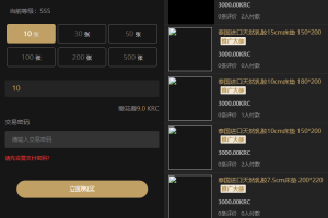 KRC跨境商城系统 拍卖系统 竞拍系统 高端商城 虚拟币支付源码