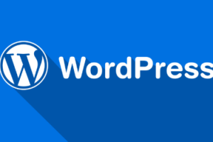 教你怎么更改WordPress登录入口，防止WP登录入口攻击