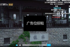 非常强大的多接口轮询带弹幕json播放器客户端
