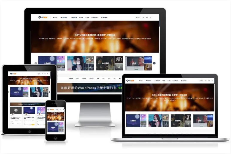 WP主题ripro9.0修正升级版 WP两款美化包 稀有插件-1