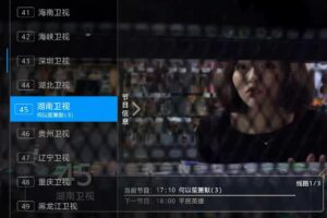 新版骆驼IPTV小肥米二开开源iptv管理系统源码