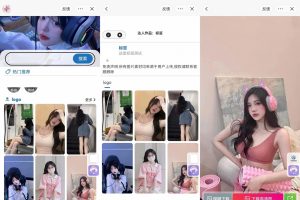微信抖音快手三合一壁纸小程序源码_后端管理设置功能丰富