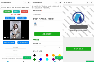 简约短视频去水印加图片多样化加水印微信小程序源码下载支持多流量主