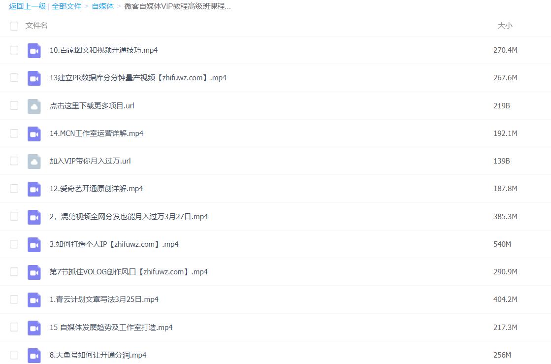 自媒体多期基础+高级VIP教程+抖音小程序玩法（月入20000+）+专场特性-3