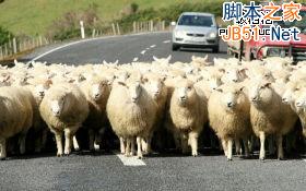处理网页图片最常见的10个错误及解决方案-3 处理网页图片最常见的10个错误及解决方案-3