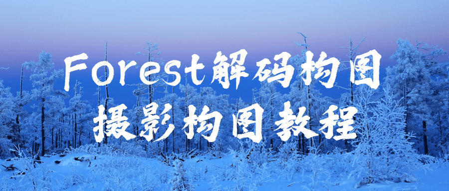 Forest解码构图摄影构图教程-1