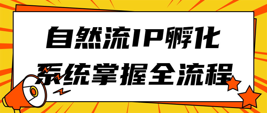 自然流IP孵化系统掌握全流程-1