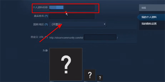 steam怎么改名字 steam修改个人资料的方法教程-5