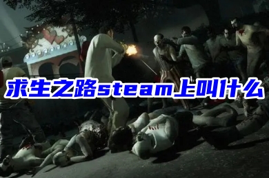 求生之路steam上叫什么 在steam上下载求生之路的方法教程-1