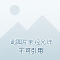 安卓NP管理器v3.0.71清爽版