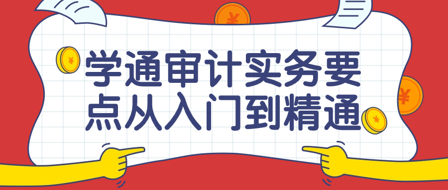 学通审计实务要点从入门到精通课程