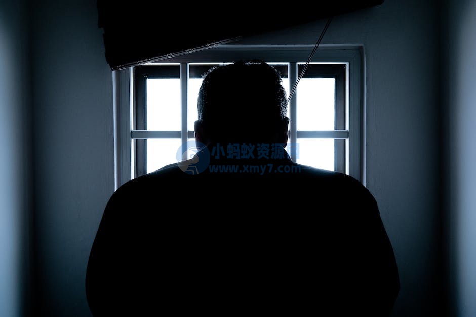 暗网毒品黑市“Silk Road”二号人物 Variety Jones 被捕，判处 20 年监禁