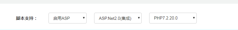 windows服务器护卫神安装易优教程篇