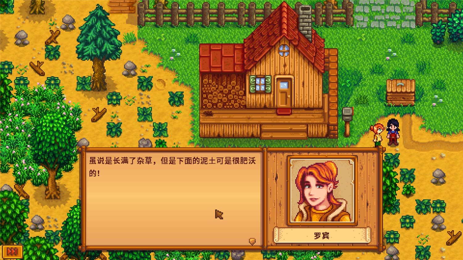 星露谷物语/Stardew Valley/角色扮演