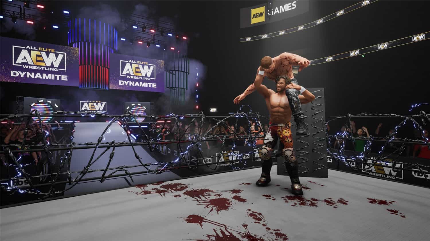 全精英摔角：永远的战斗/AEW: Fight Forever