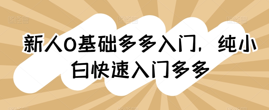 0基础拼多多入门，​纯小白快速入门多多