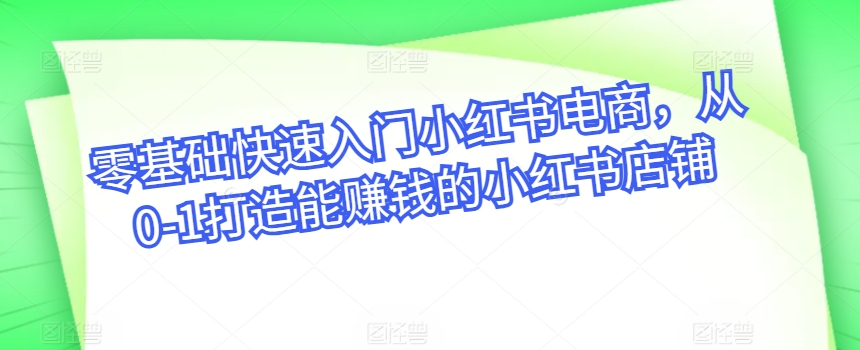 零基础快速入门小红书电商从0-1打造能赚钱