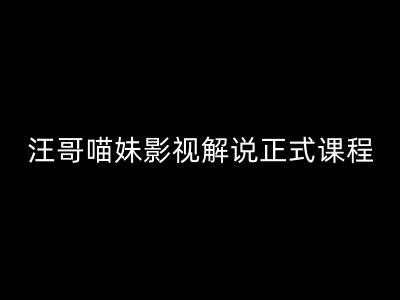汪哥影视解说正式课：剪映/PR教学/视解说等