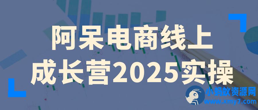 阿呆电商线上成长营2025实操