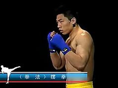 点击查看原图 散打视频教学全系列_散打训练格斗术教程