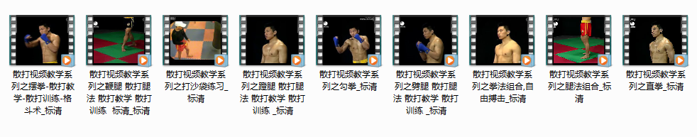 点击查看原图 散打视频教学全系列_散打训练格斗术教程