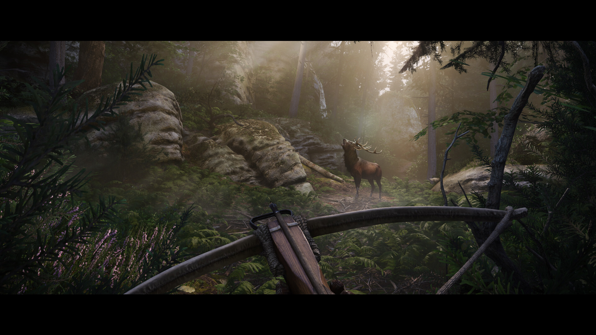 点击查看原图 天国:拯救2/Kingdom Come: Deliverance II