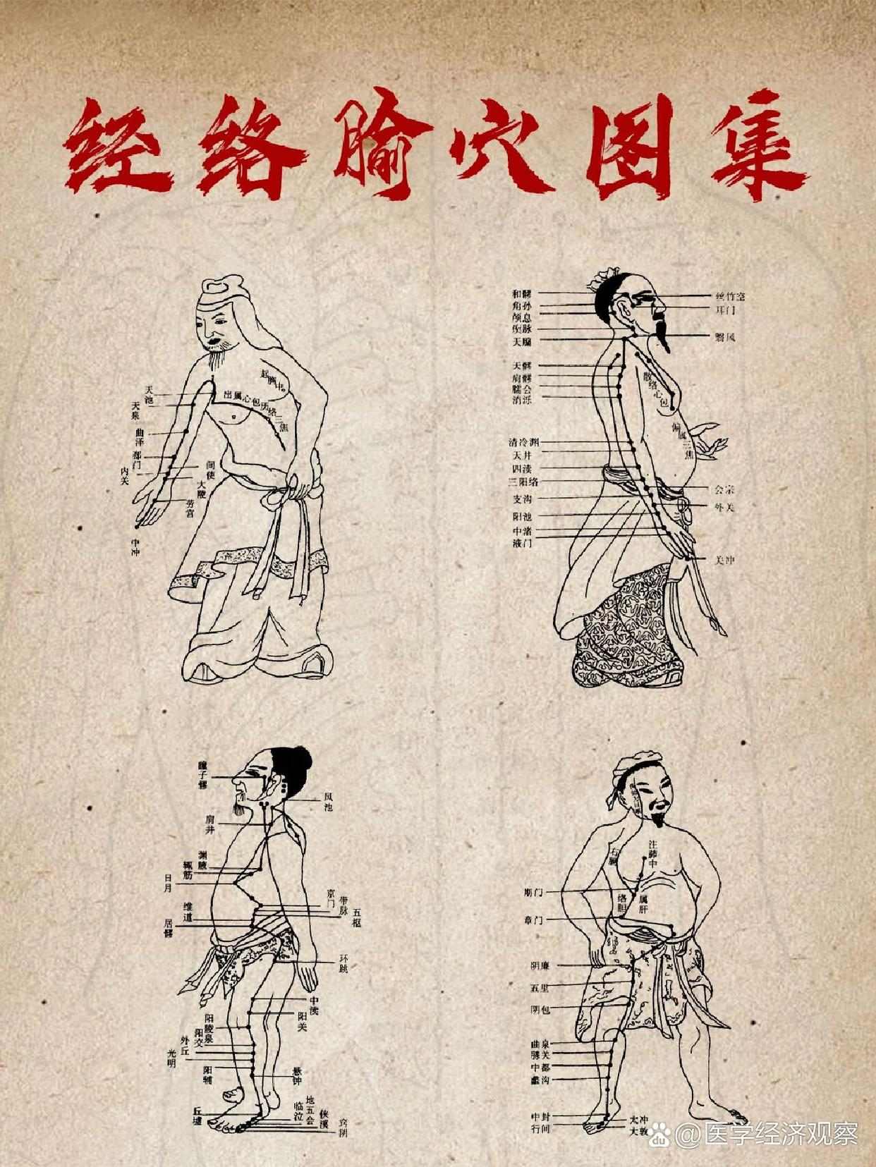 点击查看原图 医承有道学堂 中医人必学的经络课 找准穴位