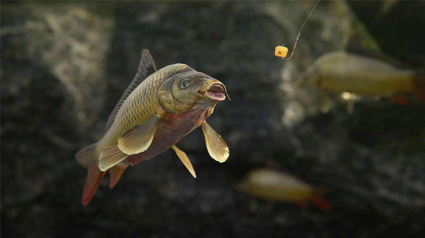 点击查看原图 《人渣》GamepiresCroteam开放世界生存动作游戏