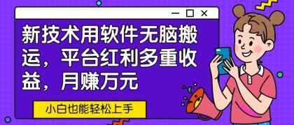 新技术用软件无脑搬运，平台红利多重收益，月赚万元，小白也能轻松上手-免费资源网-第16张图片