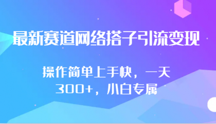 最新赛道网络搭子引流变现!!操作简单上手快，一天300+，小白专属-免费资源网-第16张图片