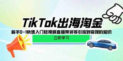 TikTok出海淘金，新手0-1快速入门短视频直播带货等引流到变现的知识-免费资源网-第16张图片