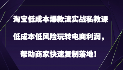 淘宝低成本爆款流实战私教课，低成本低风险玩转电商利润，帮助商家快速复制落地！-免费资源网-第16张图片