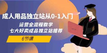 成人用品独立站从0-1入门，运营全流程教学，七大好卖成品独立站推荐（6节课）-免费资源网-第16张图片