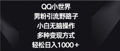 QQ小世界男粉引流野路子，小白无脑操作，多种变现方式轻松日入1000＋-免费资源网-第16张图片
