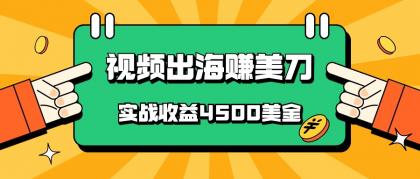 国内爆款视频出海赚美刀，实战收益4500美金，批量无脑搬运，无需经验直接上手-免费资源网-第16张图片