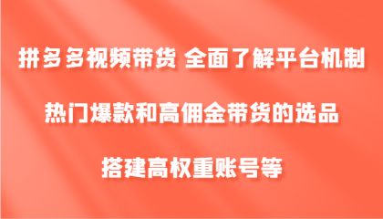 拼多多视频带货 全面了解平台机制、热门爆款和高佣金带货的选品，搭建高权重账号等-免费资源网-第16张图片