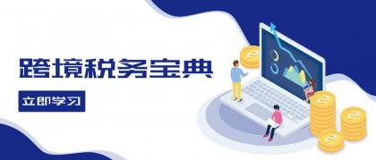 跨境税务宝典教程：跨境电商全球税务处理策略-免费资源网-第16张图片