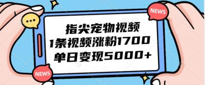 指尖宠物视频，1条视频涨粉1700，单日变现5000+-免费资源网-第16张图片