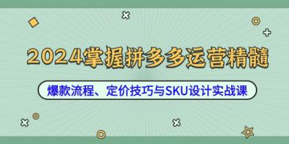 2024掌握拼多多运营精髓：爆款流程、定价技巧与SKU设计实战课-免费资源网-第16张图片