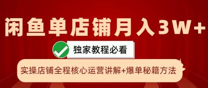 闲鱼单店铺月入3W+实操展示，爆单核心秘籍，一学就会-免费资源网-第14张图片