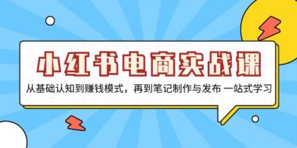 小红书电商实战课，从基础认知到赚钱模式，再到笔记制作与发布 一站式学习-免费资源网-第16张图片