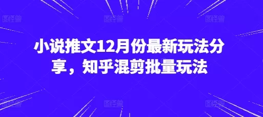 小说推文12月份新的玩法分享，知乎混剪批量玩法-免费资源网-第16张图片