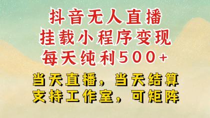 抖音无人挂机项目，轻松日入500+,挂载小程序玩法，不违规不封号，有号的一定挂起来-免费资源网-第18张图片