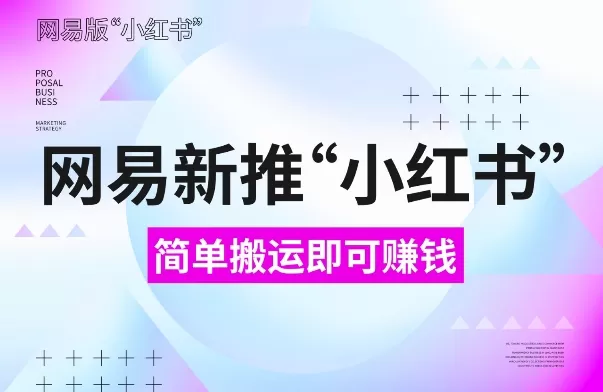 网易“小红书”版，搬运即有收益，新手小白千万别错过(附详细教程)-免费资源网-第18张图片
