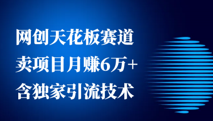 网创天花板赛道，卖项目月赚6万+，含独家引流技术（共26节课）-免费资源网-第18张图片