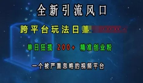 引流风口，跨平台玩法日入上k，单日200+创业粉，一个被严重忽略的视频平台-免费资源网-第18张图片