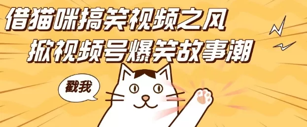 借猫咪搞笑视频之风，掀视频号爆笑故事潮，轻松日入四位数，无门槛快速入门!-免费资源网-第18张图片